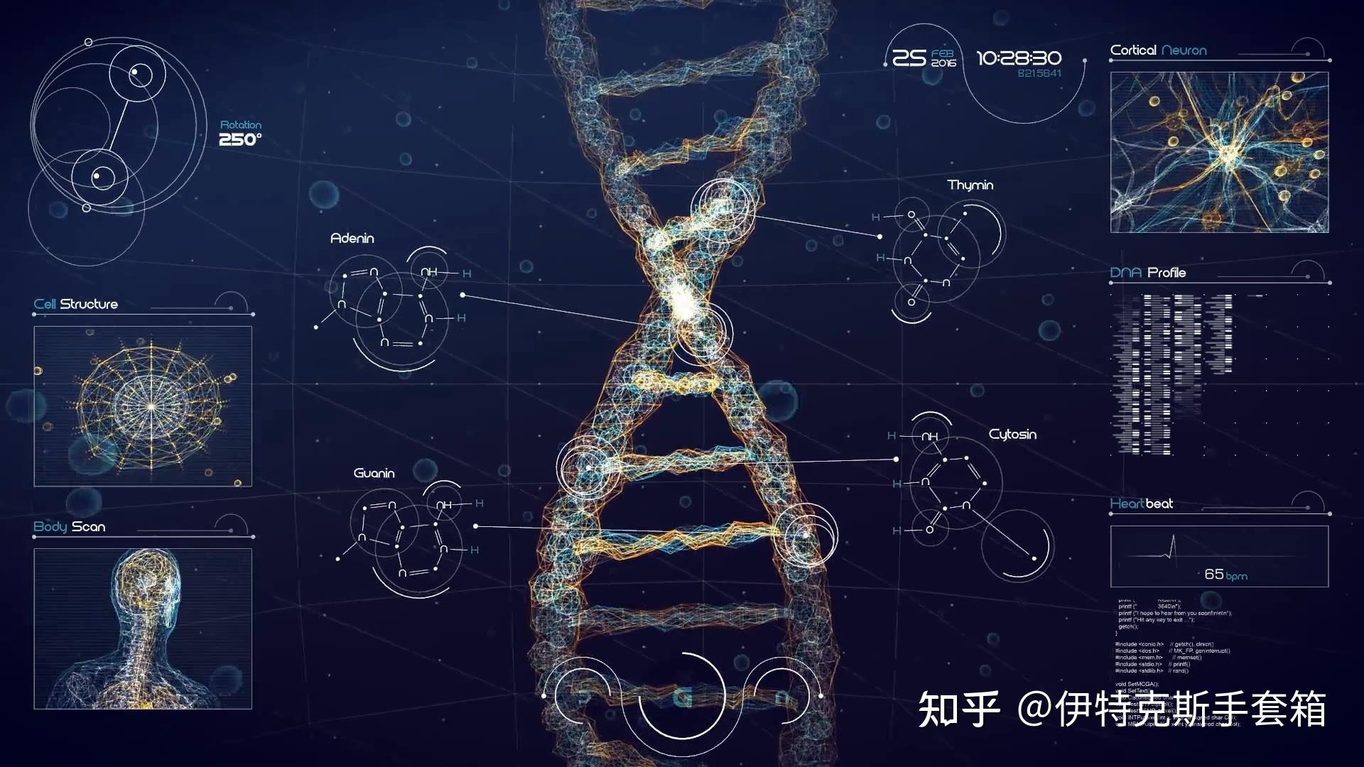 (转载)生物也能"定量"?合成生物学说:阔以的~中国科技"破圈"之路. -